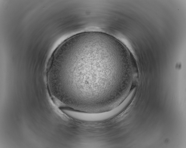 X0000092001342200709201501