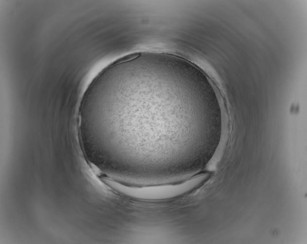 X0000092001344200709201501