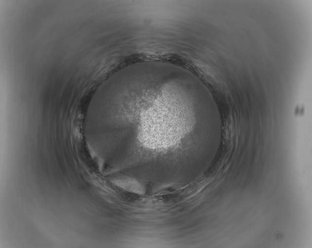 X0000092001346200709201500