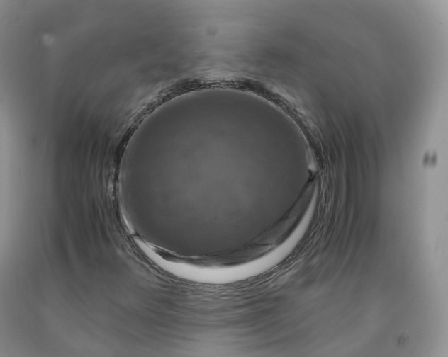 X0000092001348200709201500