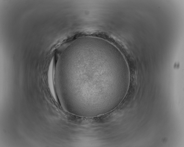 X0000092001349200709201500