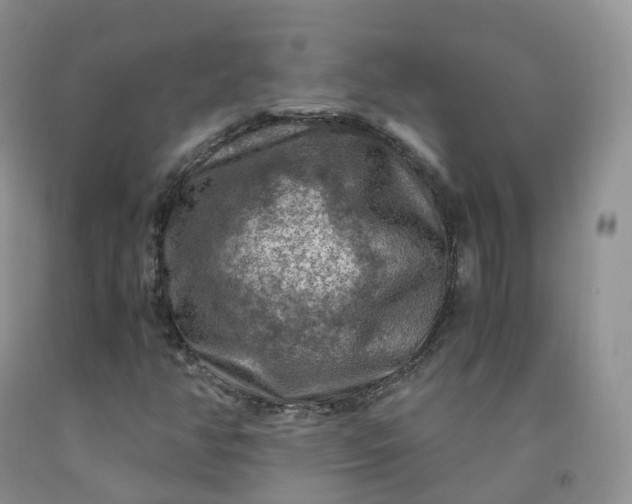 X0000092001350200709201500