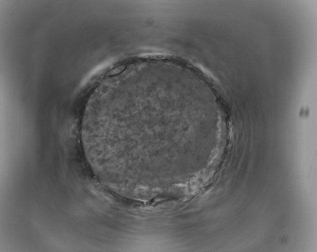 X0000092001351200709201500