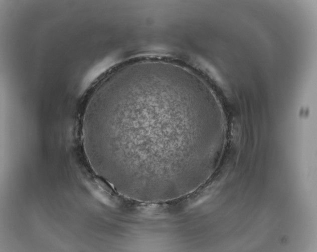 X0000092001352200709201500