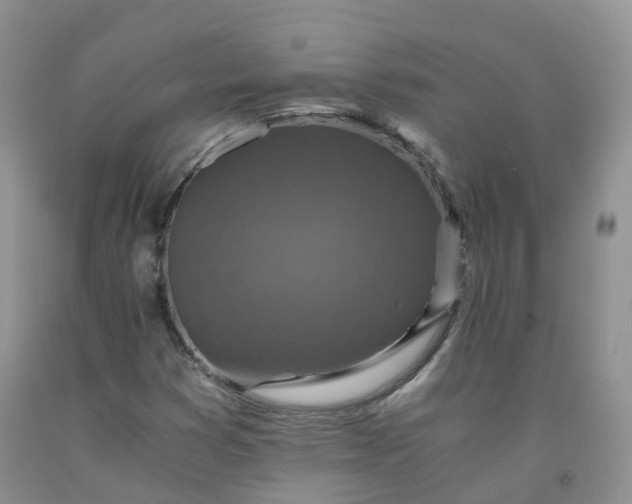 X0000092001353200709201500