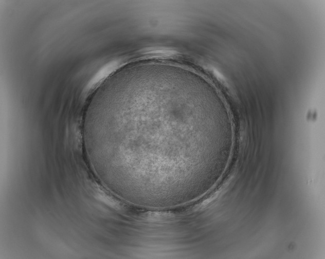 X0000092001354200709201500