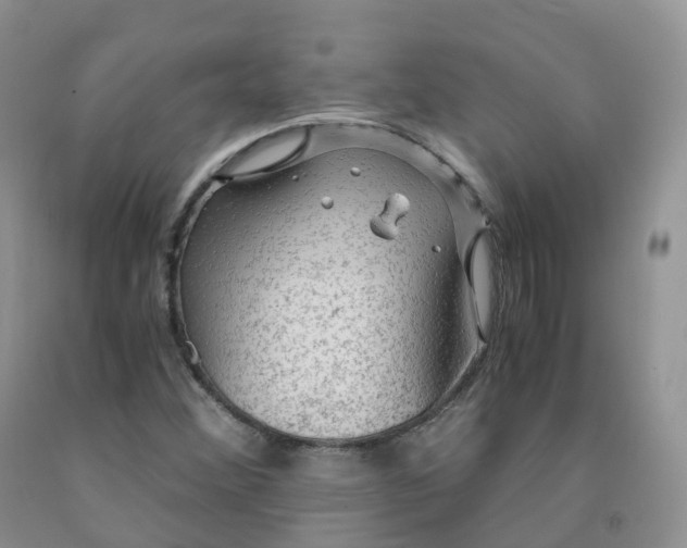 X0000092001356200709201500