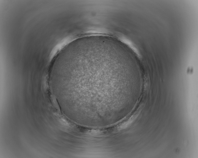 X0000092001357200709201500