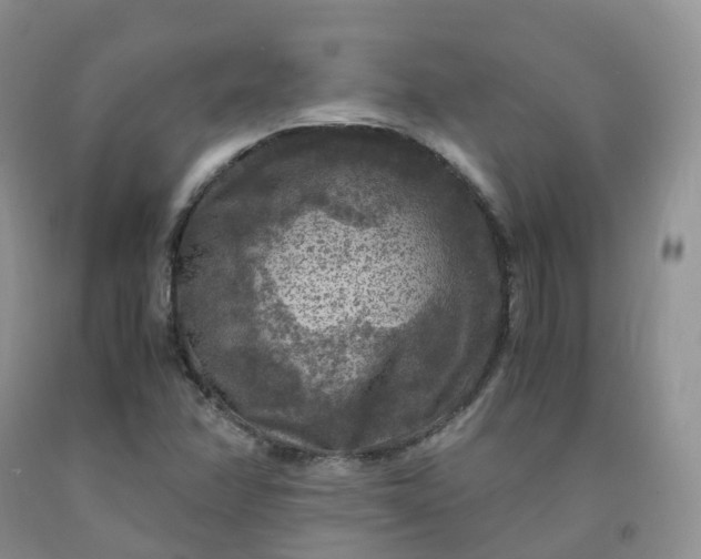 X0000092001358200709201500