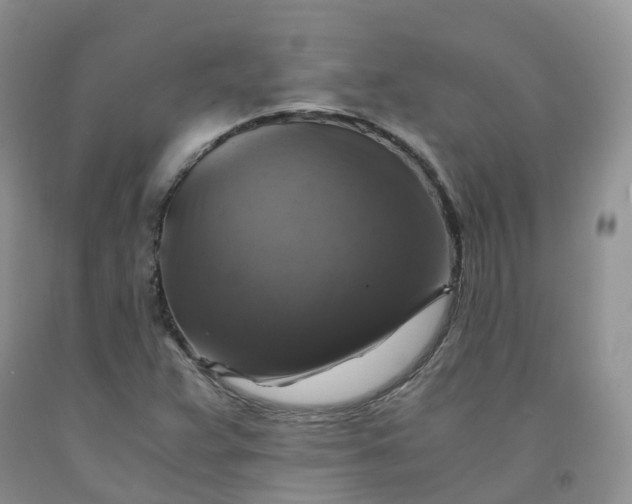 X0000092001359200709201500