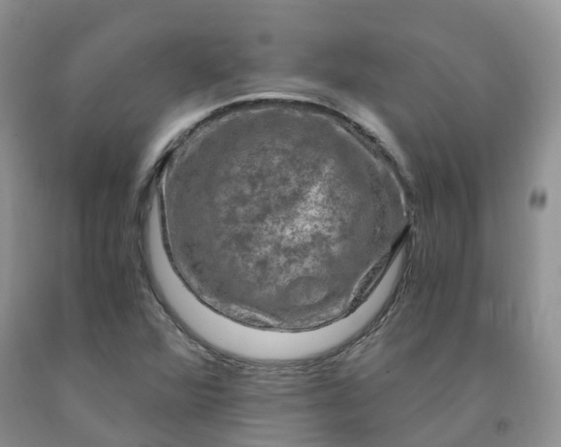 X0000092001360200709201500