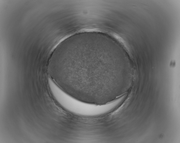 X0000092001361200709201500