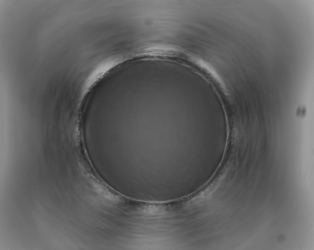 X0000092001362200709201500