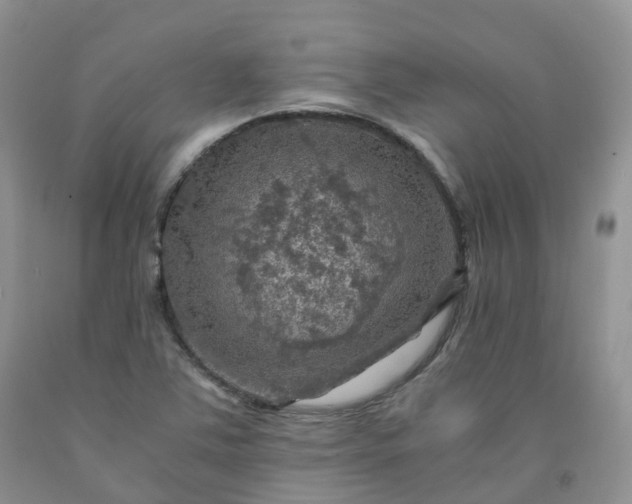 X0000092001363200709201500