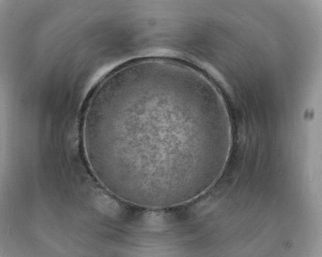 X0000092001364200709201500