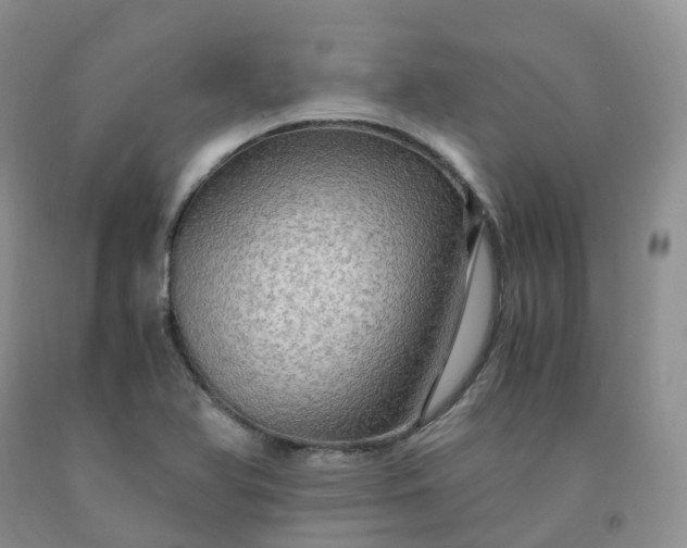 X0000092001366200709201500