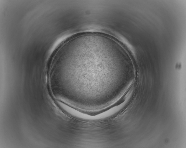 X0000092001368200709201500