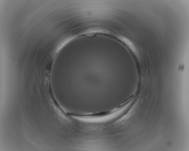 X0000092001369200709201500