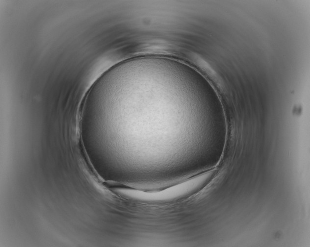 X0000092001370200709201500