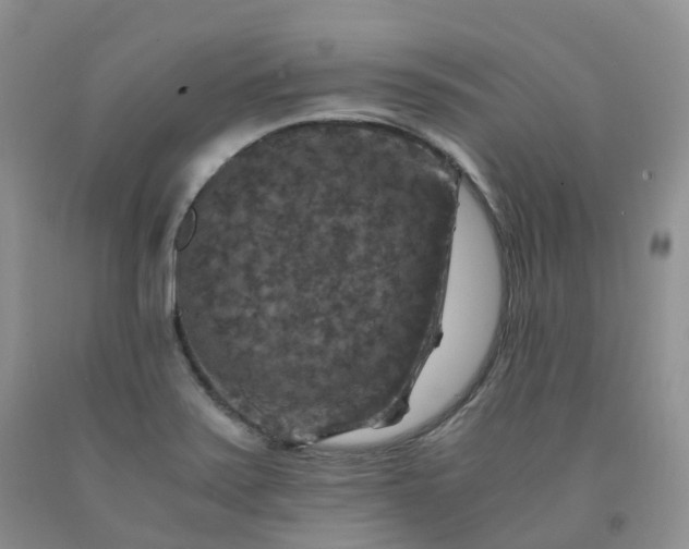 X0000092001371200709201500