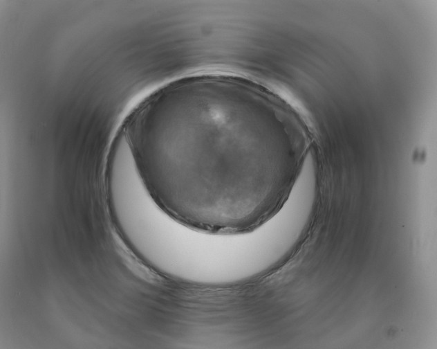 X0000092001372200709201500