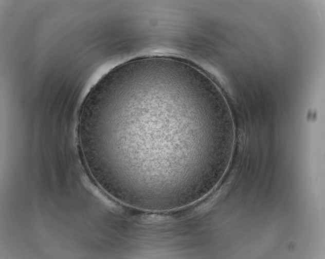 X0000092001374200709201500