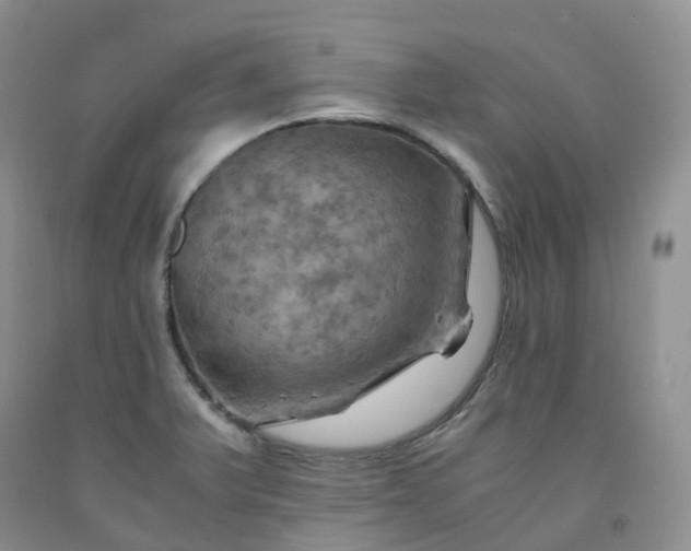 X0000092001375200709201500