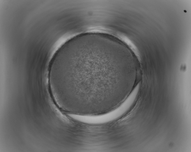 X0000092001376200709201500