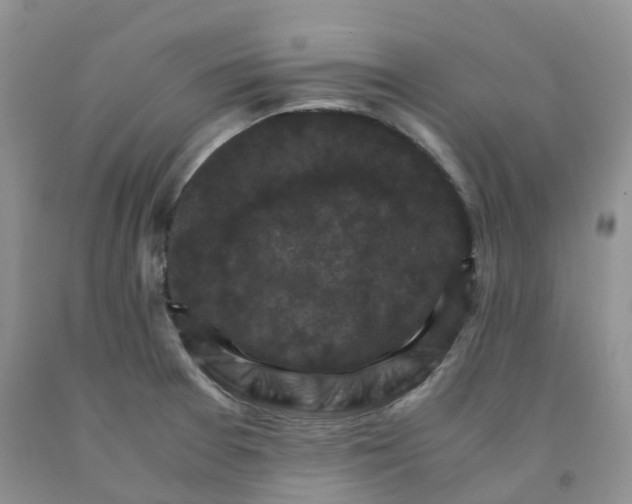 X0000092001377200709201500