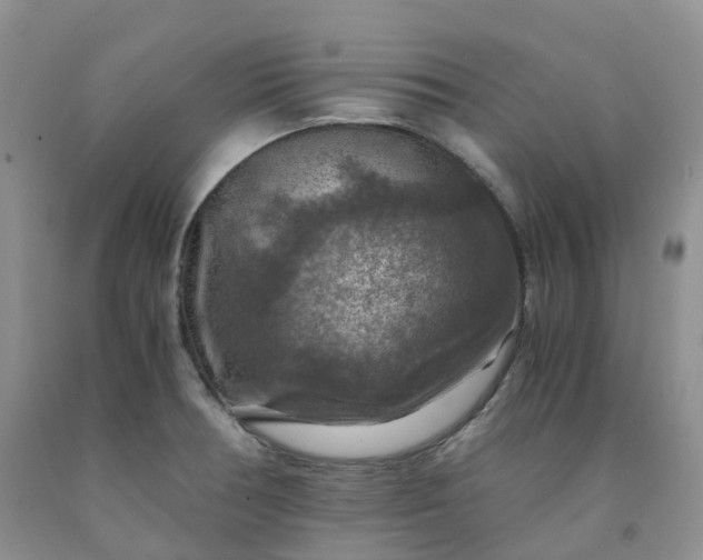 X0000092001378200709201500