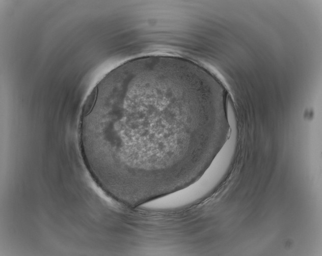 X0000092001379200709201500