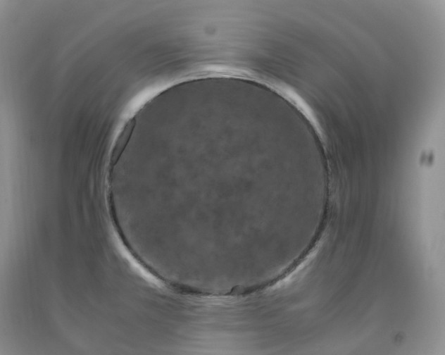 X0000092001381200709201500