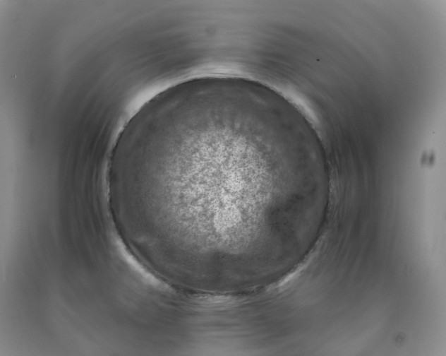 X0000092001382200709201500