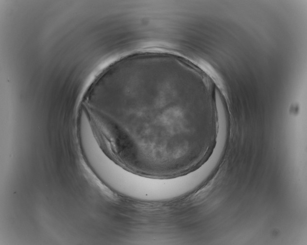 X0000092001384200709201500