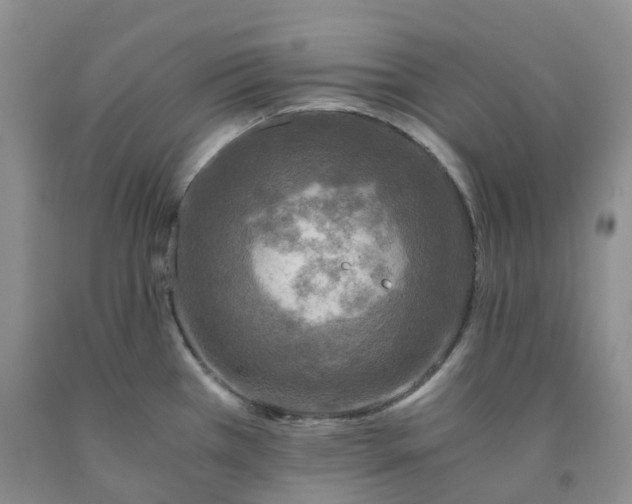 X0000092001385200709201500