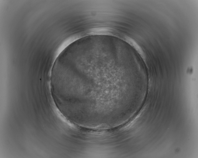 X0000092001386200709201500