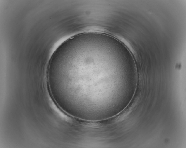 X0000092001387200709201459