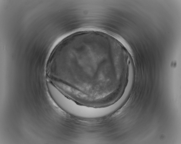 X0000092001388200709201459