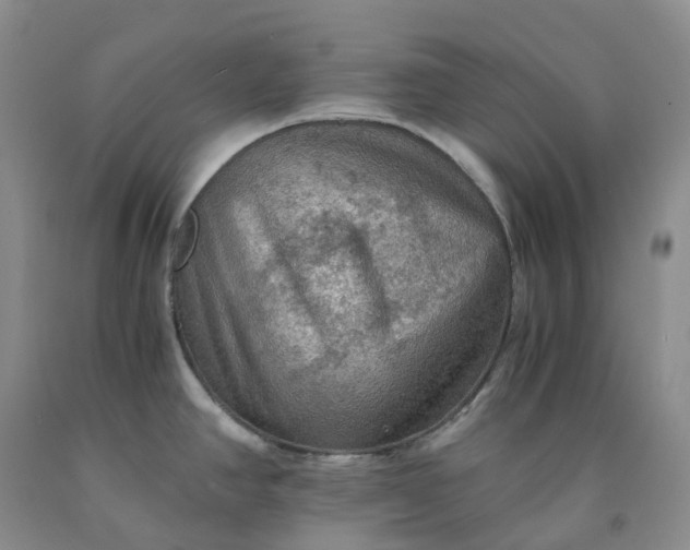 X0000092001390200709201459