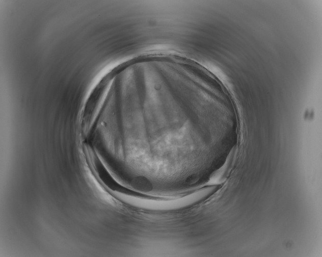 X0000092001392200709201459