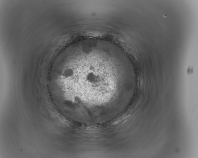 X0000092001393200709201458