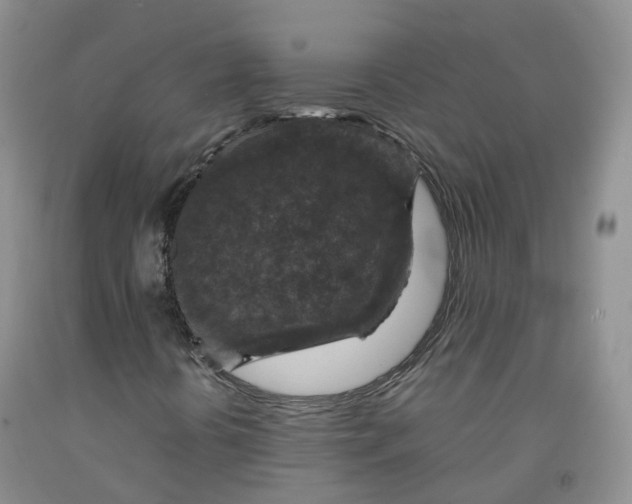 X0000092001394200709201458