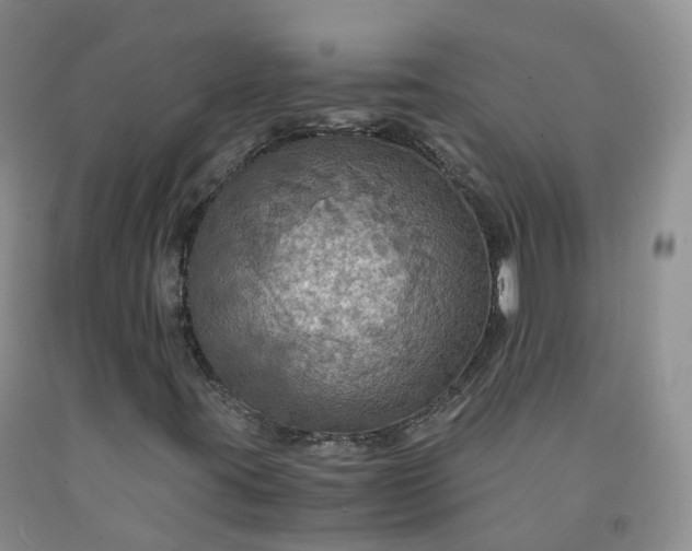 X0000092001395200709201459