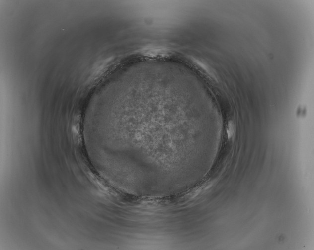 X0000092001396200709201459