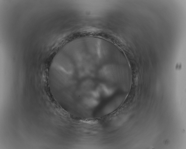 X0000092001397200709201459