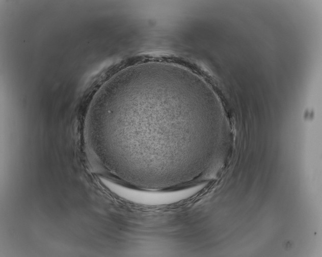 X0000092001398200709201459