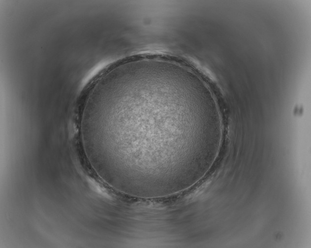 X0000092001400200709201459