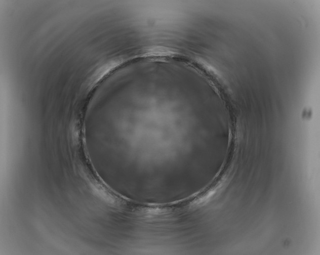 X0000092001401200709201459