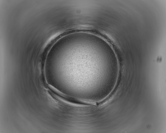 X0000092001402200709201459