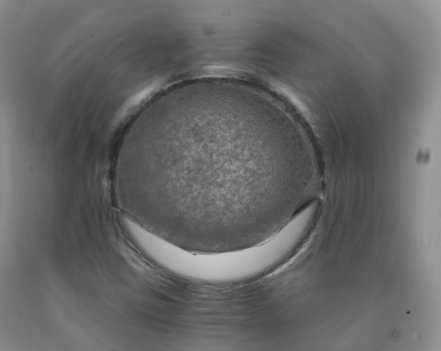 X0000092001403200709201459